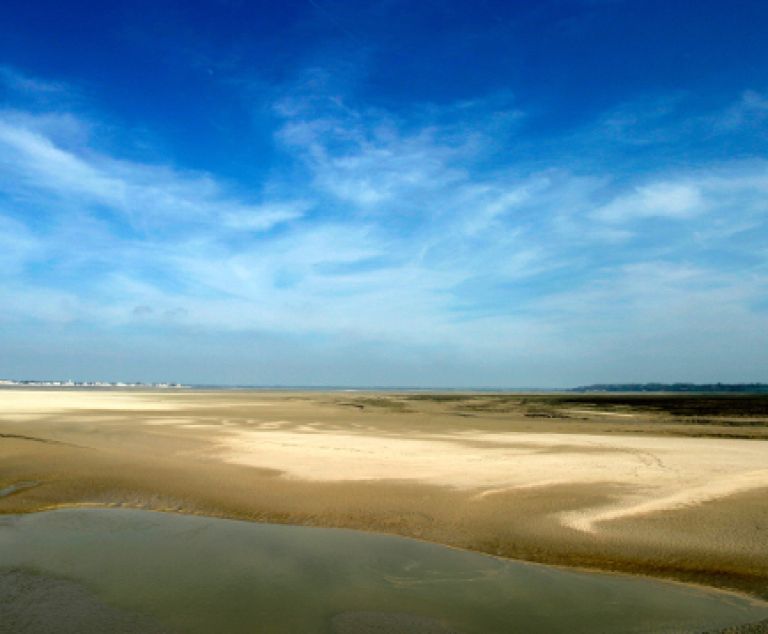  - Image 2