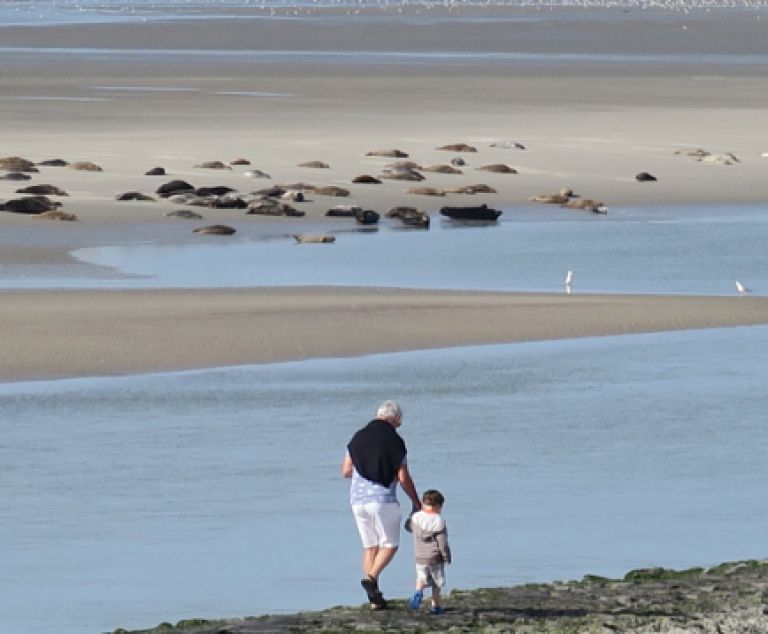 Berck sur Mer & la Baie de Somme