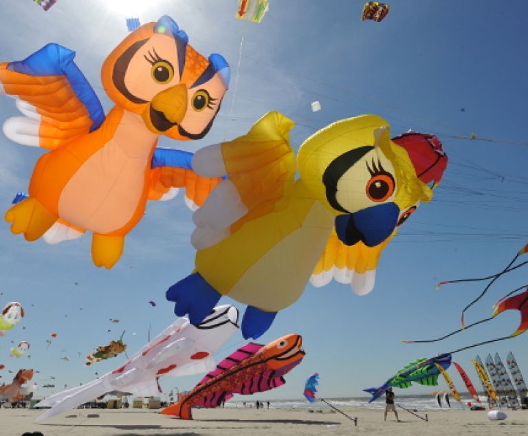 Rencontres Internationales de Cerfs-Volants à Berck-sur-Mer