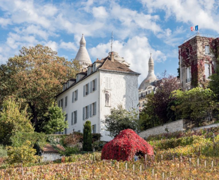 Paris fête des vendanges