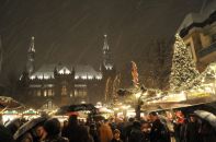  - Image 5