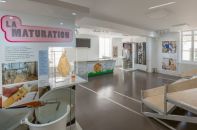 - Image 6