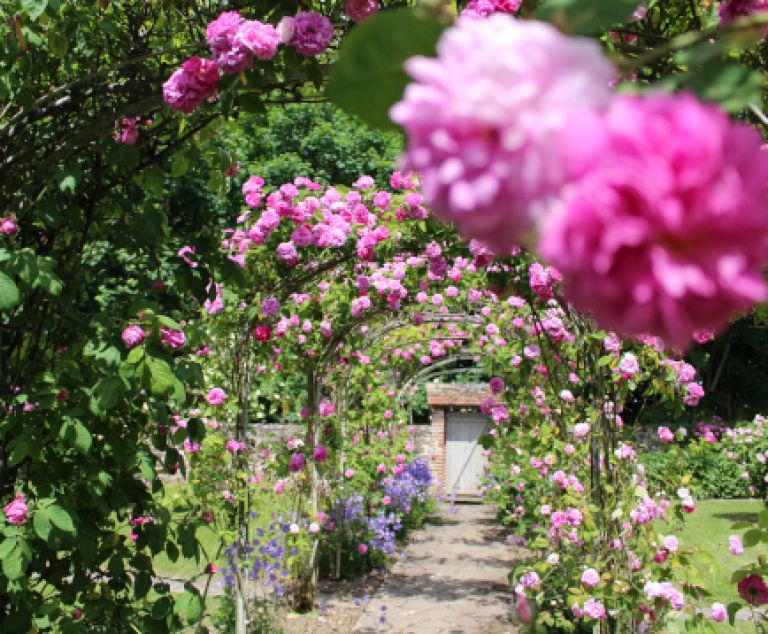 Fête des roses à Gerberoy Notcar