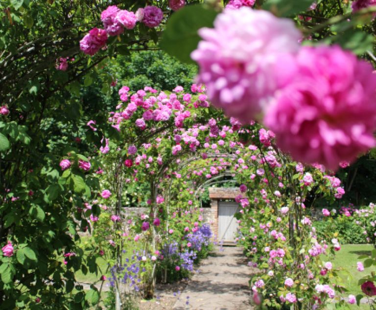 Fête des roses à Gerberoy