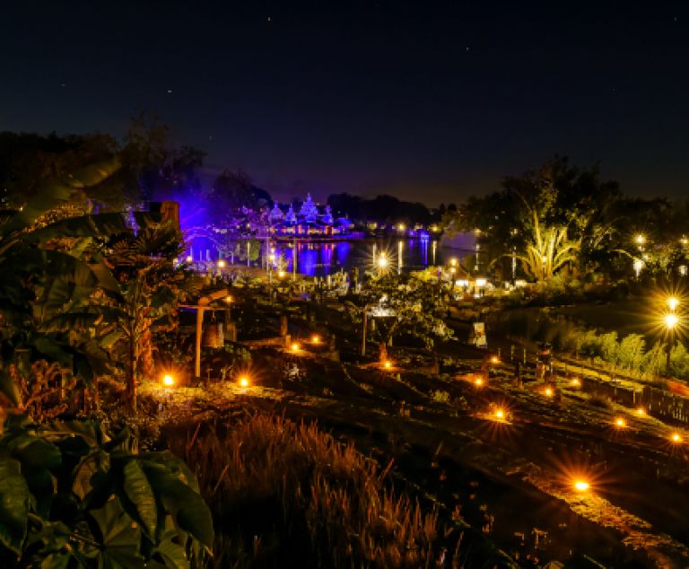  - Image 8