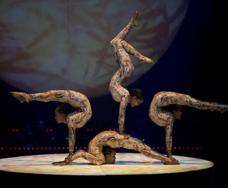 Cirque Phénix - Paris 