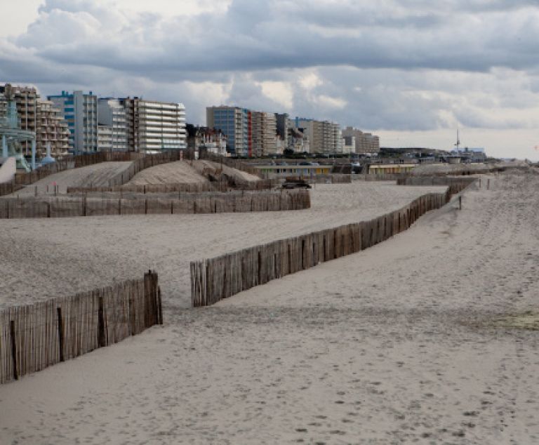  - Image 12