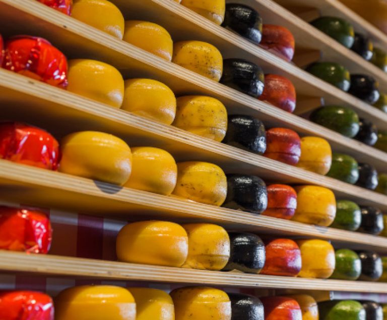 Gouda - Marché aux fromages & visite guidée