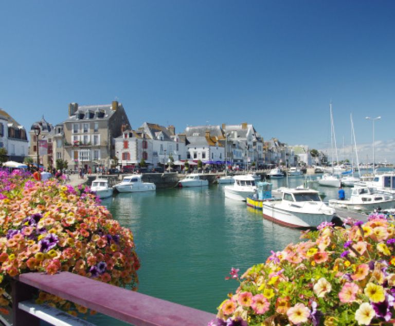  - Image 5
