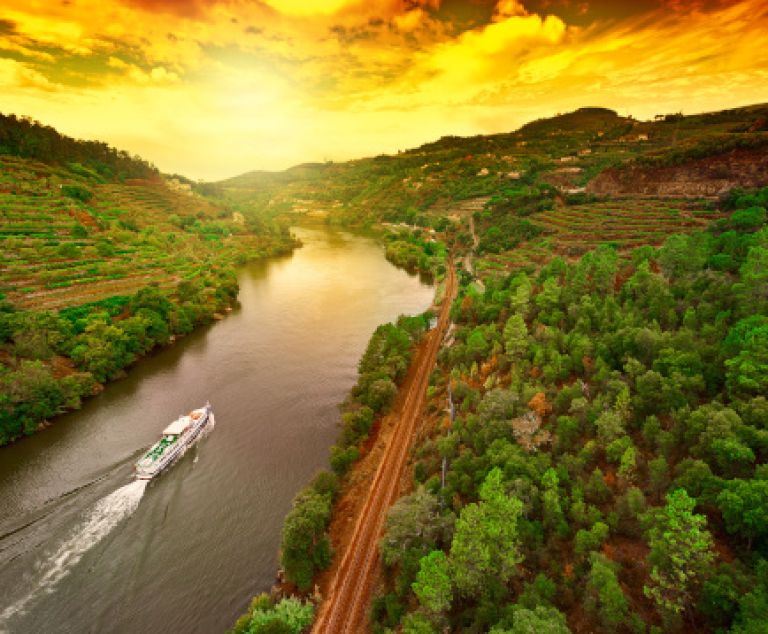  - Image 4