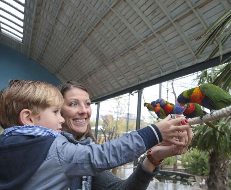 Les animaux du jardin d'acclimatation.