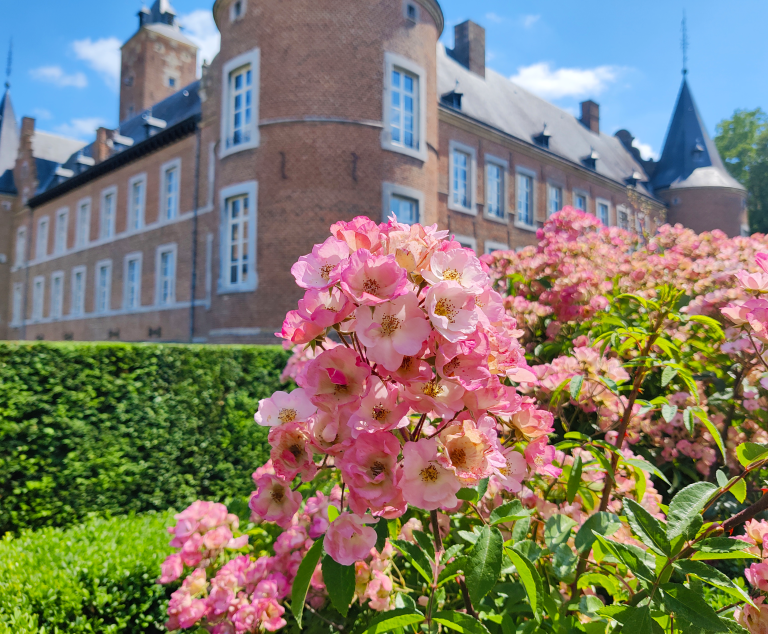 Château d'Alden Biesen: Exposition Florale