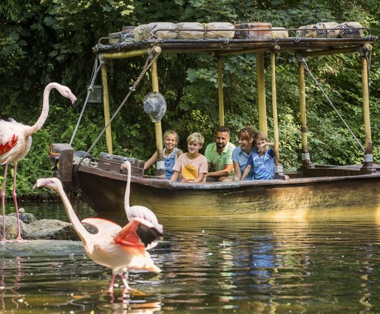 Les flamands rose de Bellewaerde.