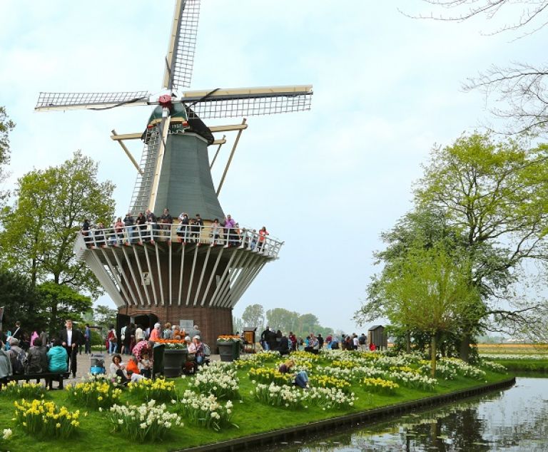 Le moulin du parc Keukenhof.