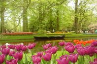 Promenade en barque à Keukenhof.