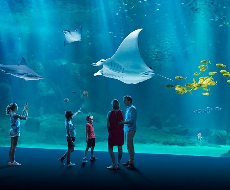 L'aquarium de Nausicaa.