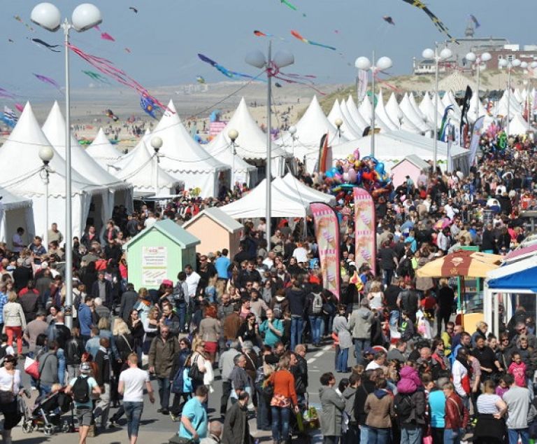 Les cerfs volants de Berck.