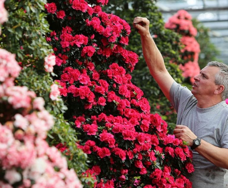 LES FLORALIES DE GAND