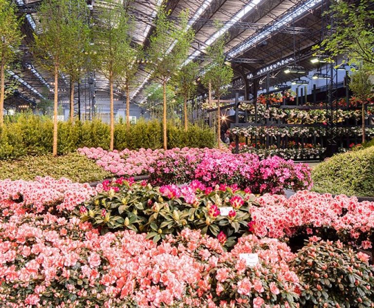 Les floralies de Gand.